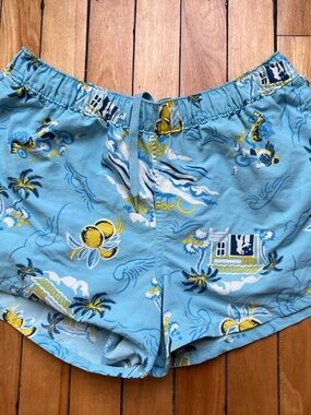 Patagonia Baggies Surf Print